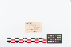 Etikett zu Bronzemehrkopfnadel (NHMW-PRAE-026394)